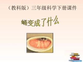 三年级科学下册_蛹变成了什么_1课件_教科版