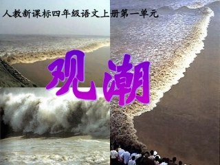 (人教新课标版)四年级语文上册课件_观潮_3