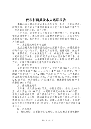 代表村两委及本人述职报告