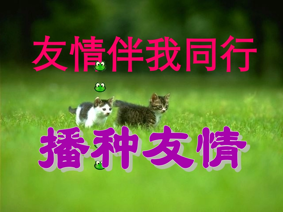 友情伴我同行播种友情_第2页
