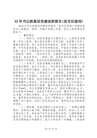XX年书记抓基层党建述职报告(县市区级局)