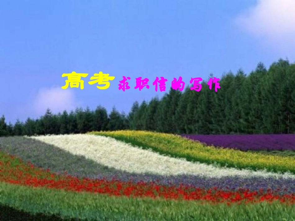 高考求职信的写作_第1页