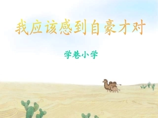 我应该感到自豪才对PPT课件