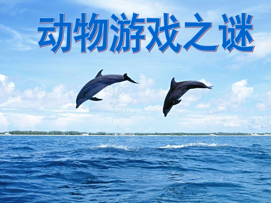 《动物游戏之谜》_第1页