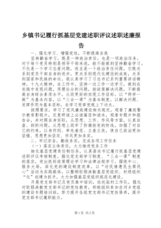 乡镇书记履行抓基层党建述职评议述职述廉报告