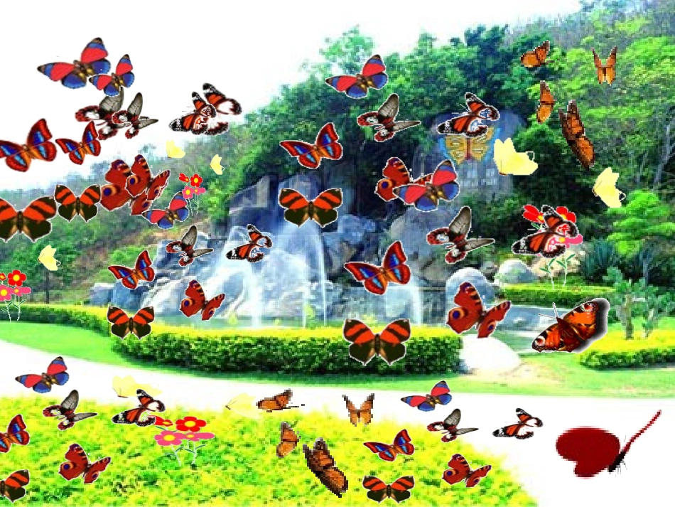 台湾的蝴蝶谷1 (2)_第2页