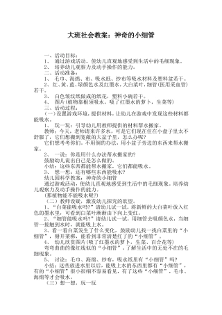 大班社会活动设计神奇的小细管