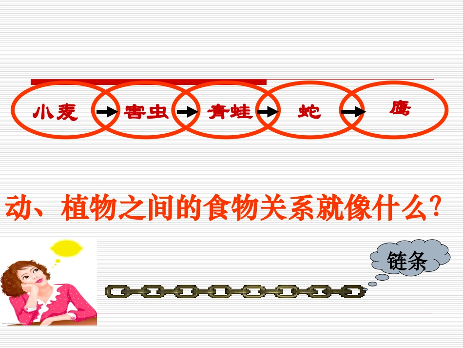 六年级科学下册《有趣的食物链》(苏教版)_第3页