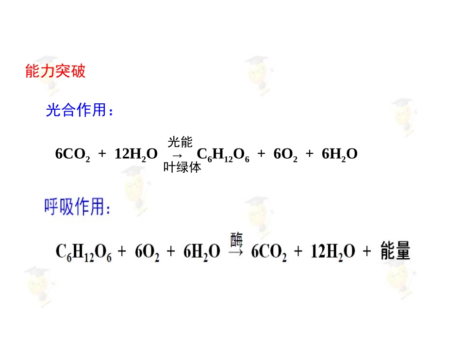 光合作用一轮复习_第1页