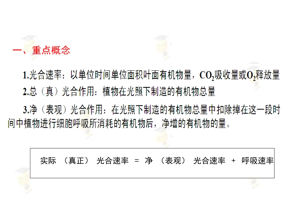 光合作用一轮复习_第2页