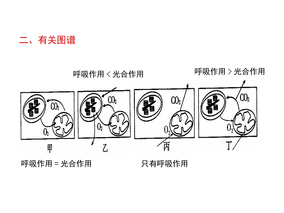 光合作用一轮复习_第3页