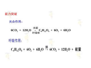 光合作用一轮复习