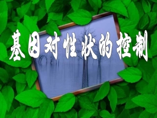 基因对性状的控制 (2)