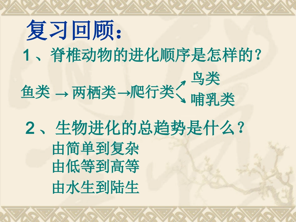 第三节生物进化的原因演示文稿1_第2页