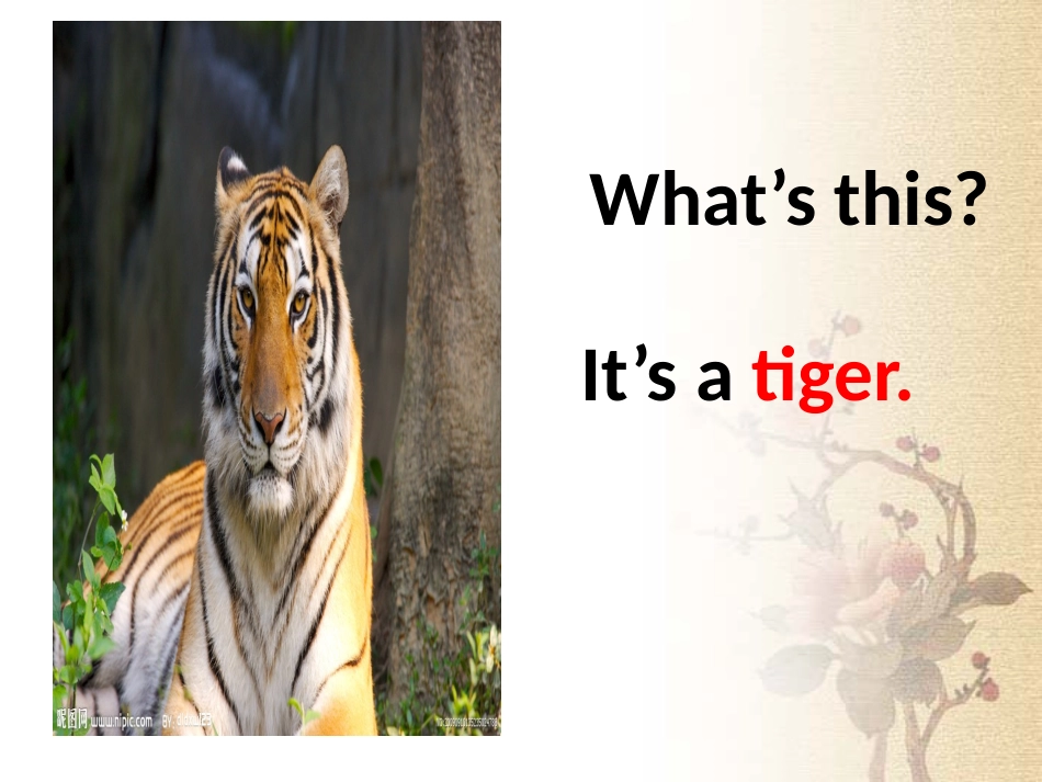 三年级下册module2unit1They'remonkeys_第2页