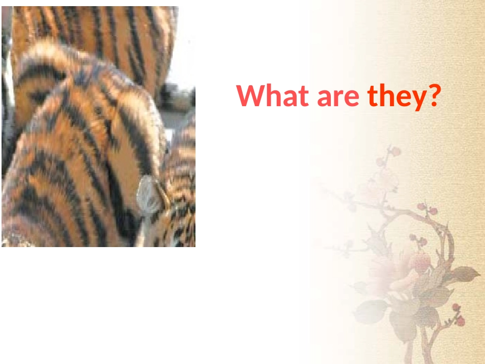 三年级下册module2unit1They'remonkeys_第3页