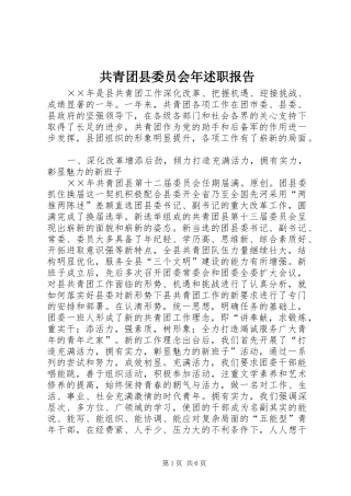共青团县委员会年述职报告