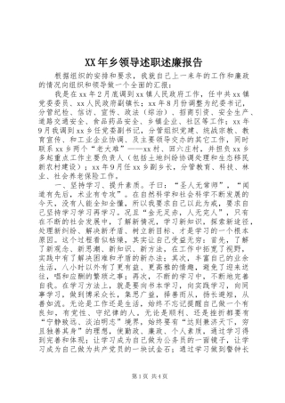 XX年乡领导述职述廉报告