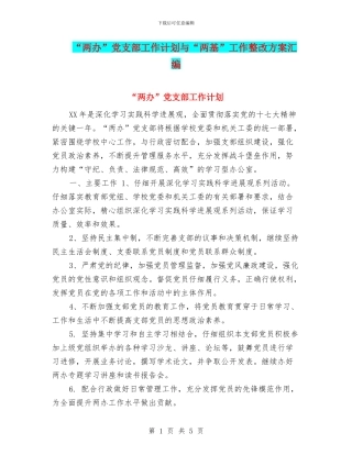 “两办”党支部工作计划与“两基”工作整改方案汇编