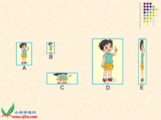北师大版小学数学六年级上册《生活中的比》PPT课件