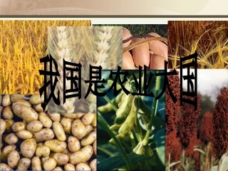 第1课精耕细作农业生产模式的形成