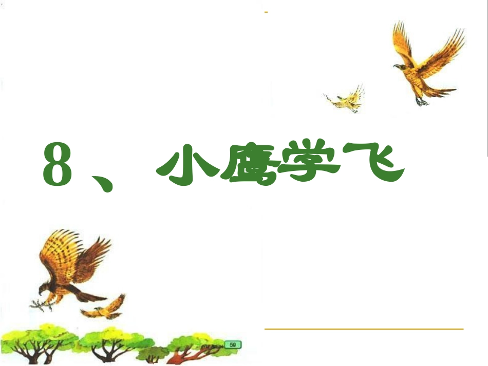 小鹰学飞第课时_第1页