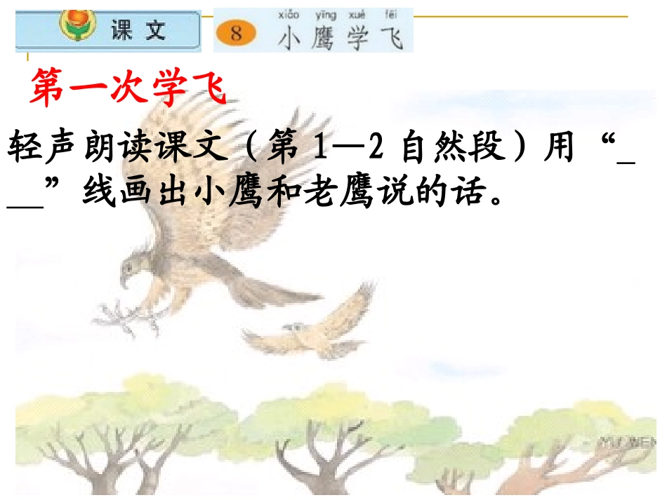 小鹰学飞第课时_第3页