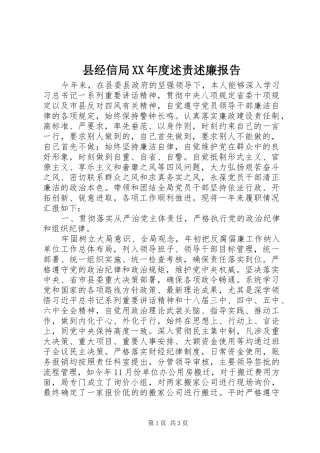县经信局XX年度述责述廉报告
