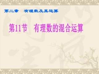 有理数的混合运算 (3)