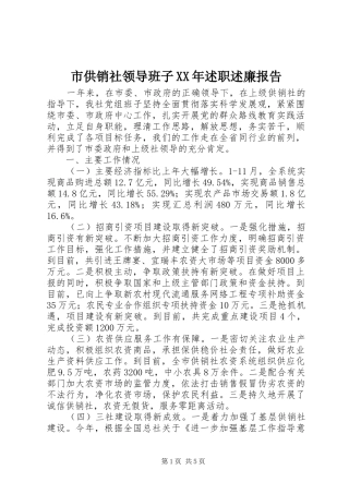 市供销社领导班子XX年述职述廉报告