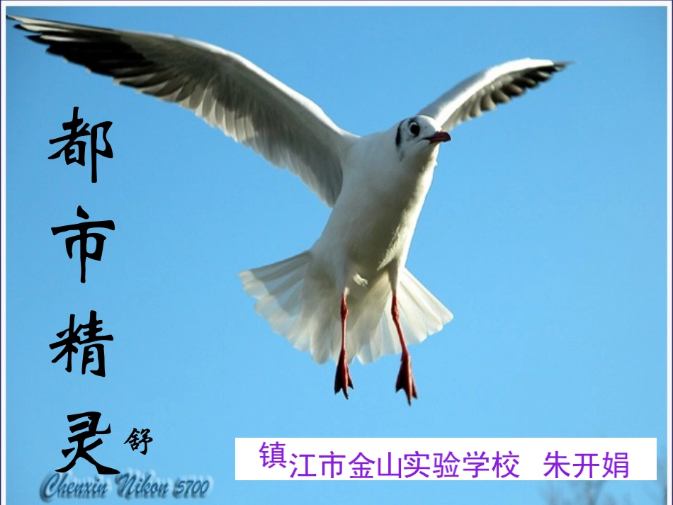 《都市精灵》_第1页