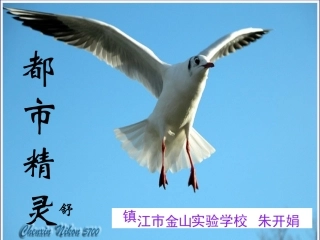《都市精灵》