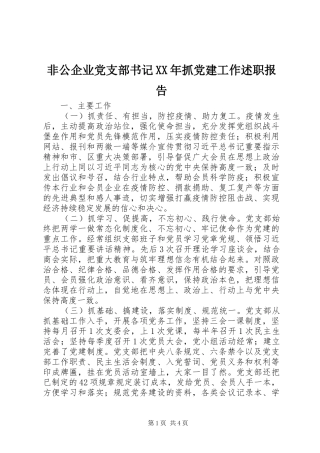 非公企业党支部书记XX年抓党建工作述职报告