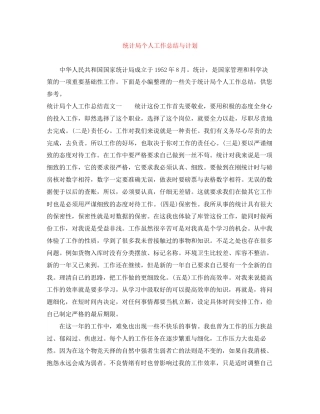 统计局个人工作总结与计划