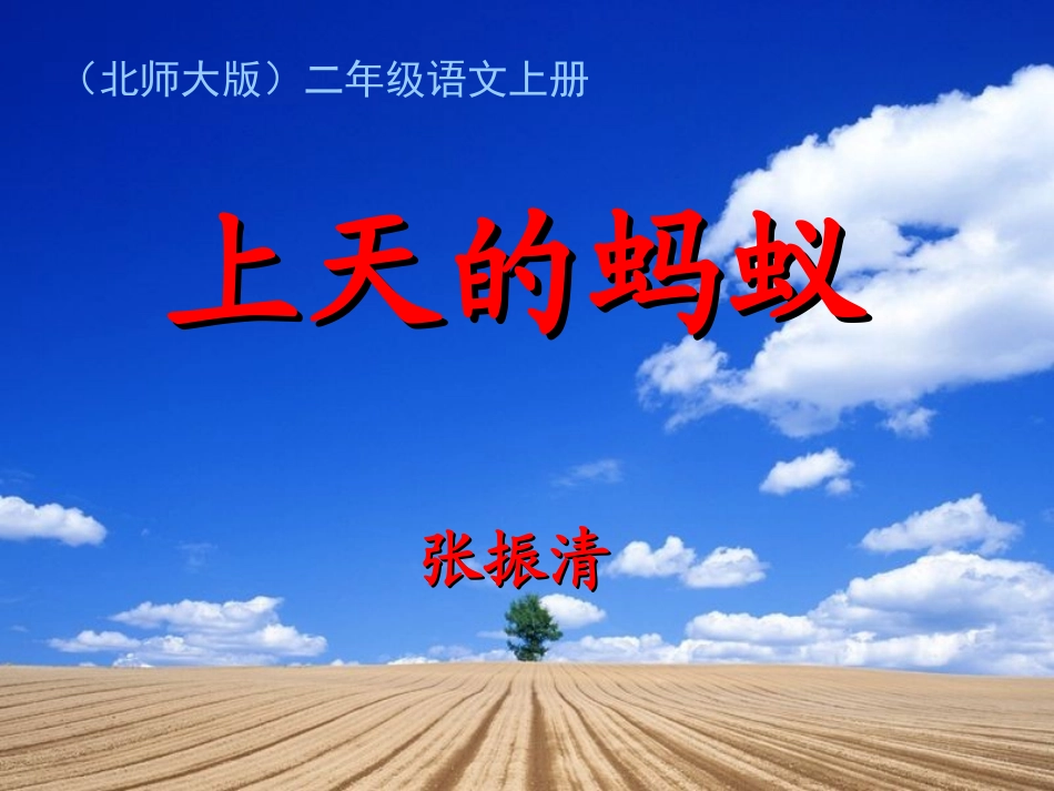 上天的蚂蚁上天的蚂蚁_第1页