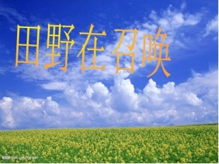 天野在召唤简单课件