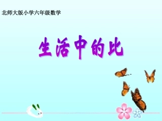 《生活中的比》PPT课件