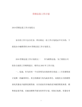 营销总监工作计划