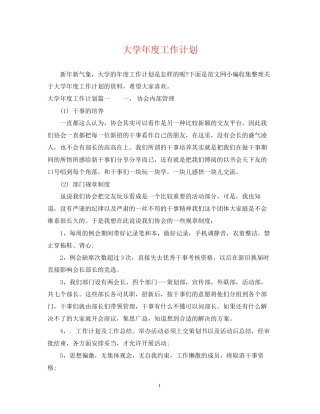 大学年度工作计划