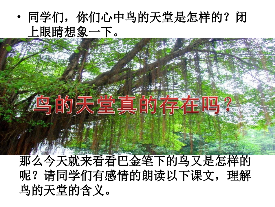 四年级语文鸟的天堂PPT (2)_第2页
