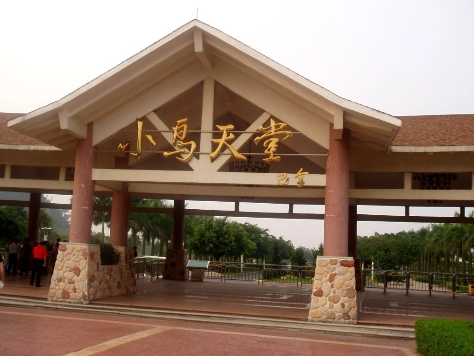 四年级语文鸟的天堂PPT (2)_第3页