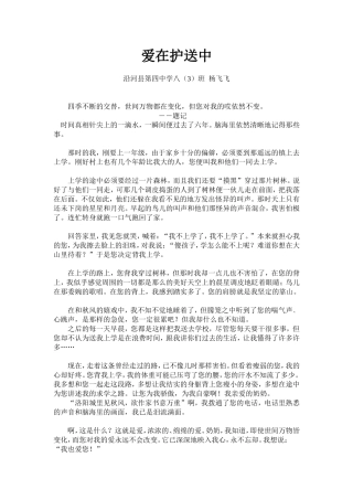 爱在护送中杨飞飞