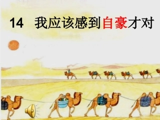 我应该感到自豪才对演示文稿1