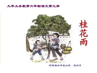 人教版五年级语文上册《桂花雨》课件 (2)