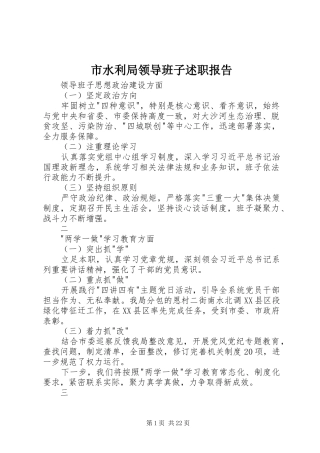 市水利局领导班子述职报告