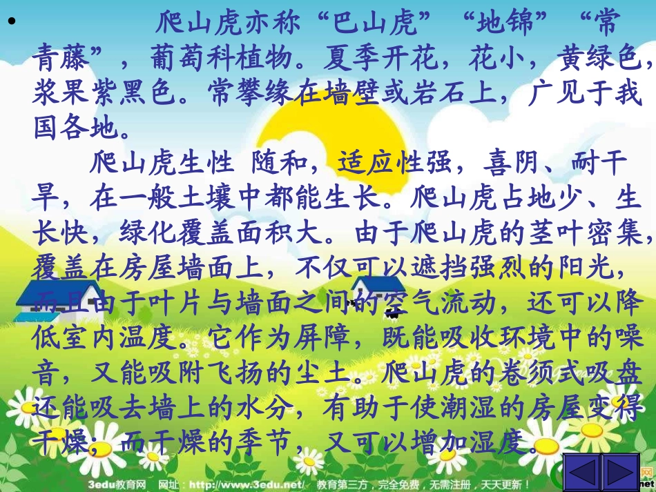四年级语文爬山虎的脚2_第3页