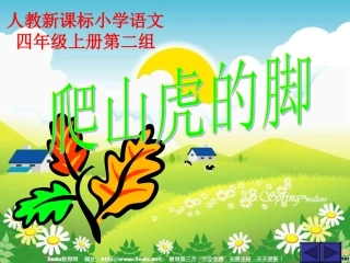 四年级语文爬山虎的脚2