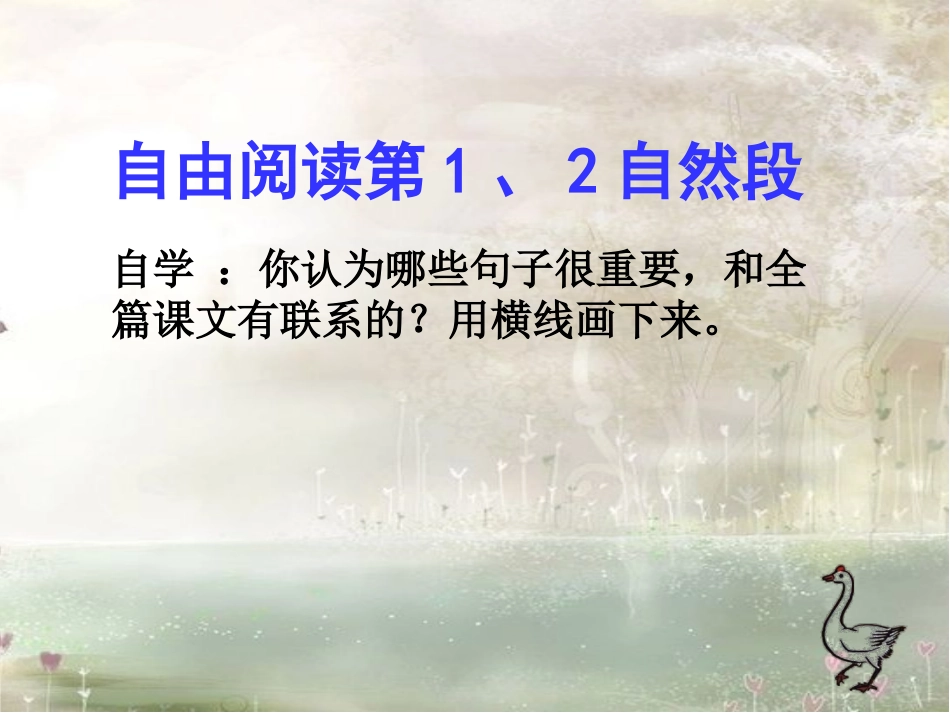 ha013、白鹅_第3页