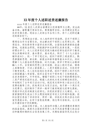 XX年度个人述职述责述廉报告