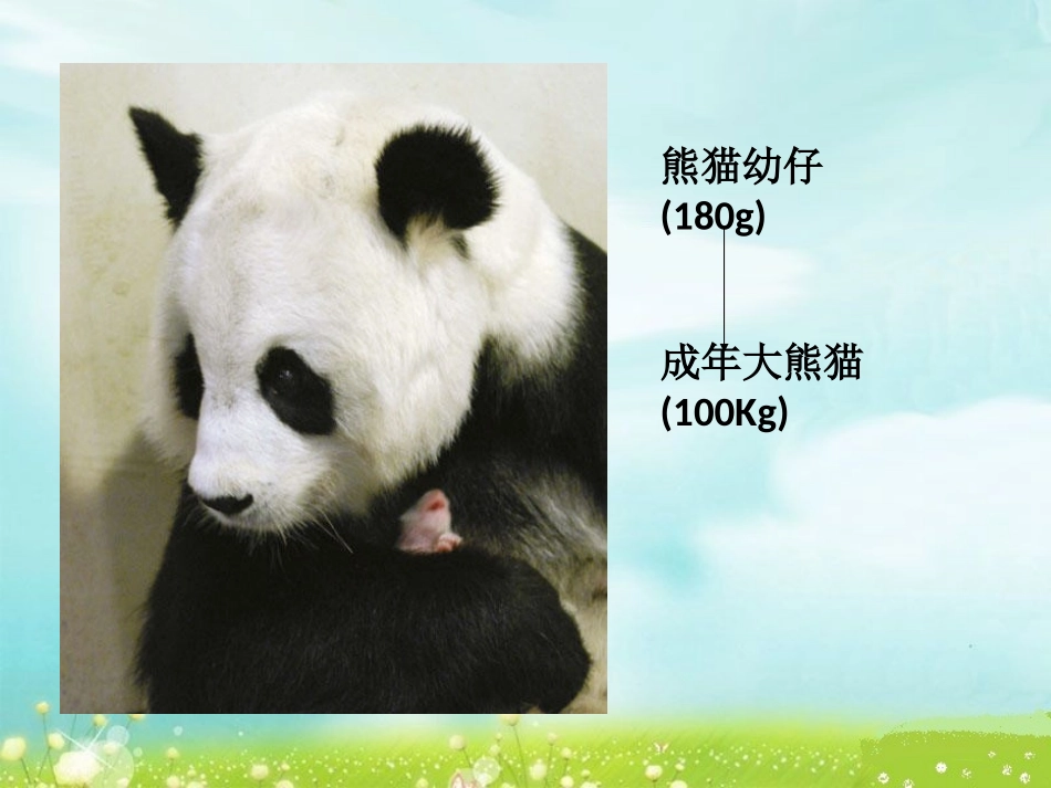 细胞通过分裂产生新细胞 (2)_第3页